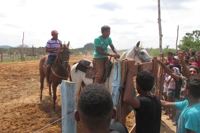 Parque de vaquejada 5 irmãos leva quase 3 mil pessoas em Curralinhos - Imagem 5