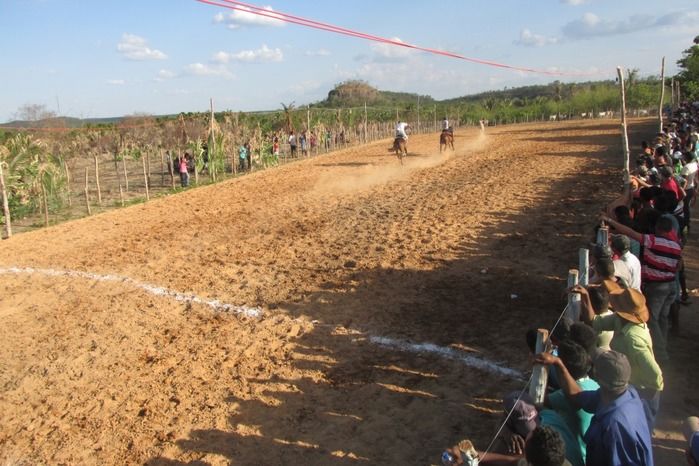 Parque de vaquejada 5 irmãos leva quase 3 mil pessoas em Curralinhos - Imagem 43