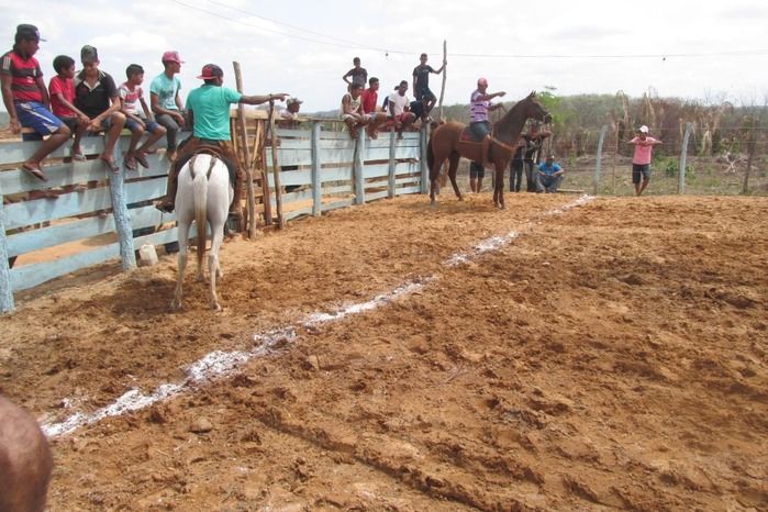 Parque de vaquejada 5 irmãos leva quase 3 mil pessoas em Curralinhos - Imagem 4