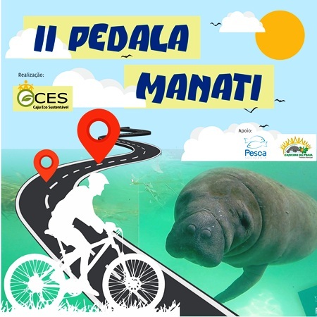 Cajueiro da Praia se prepara para eventos em Dezembro  - Imagem 1