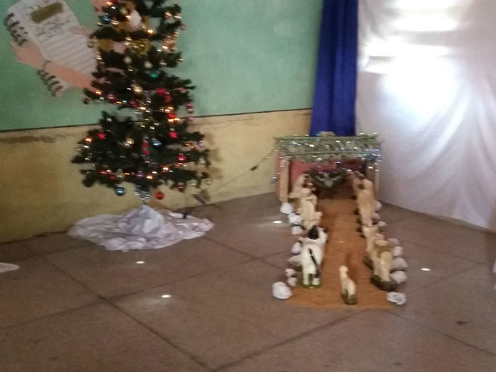 II Feira de Ciências - Imagem 10