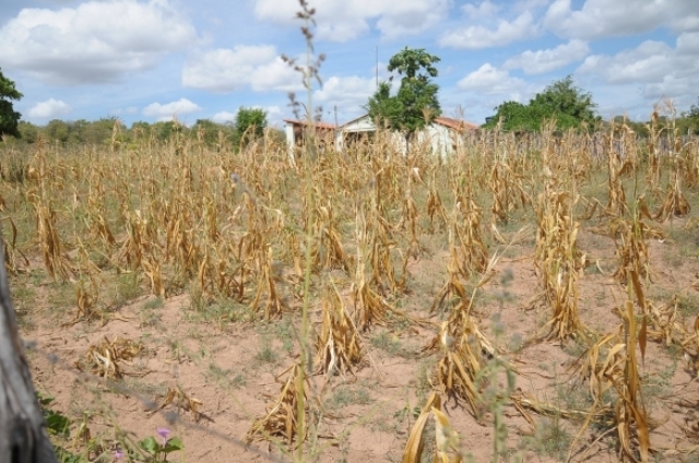  Agricolândia registra o menor índice de chuva no mês de outubro desde 2013    - Imagem 1