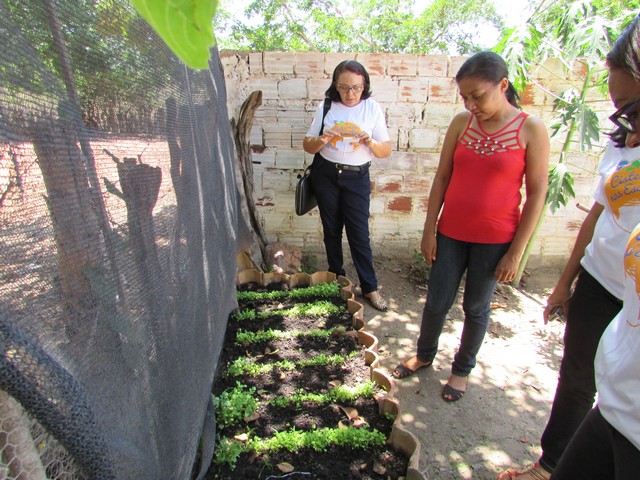 Professores de Simões Visitam Escola Liberato Vieira - Imagem 71