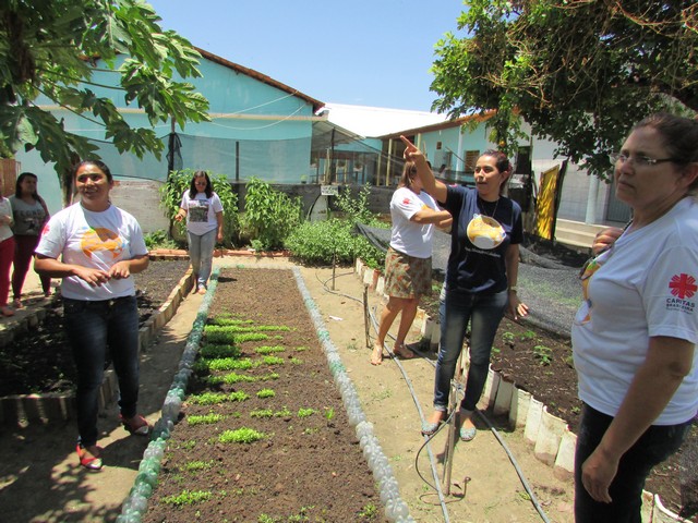 Professores de Simões Visitam Escola Liberato Vieira - Imagem 67