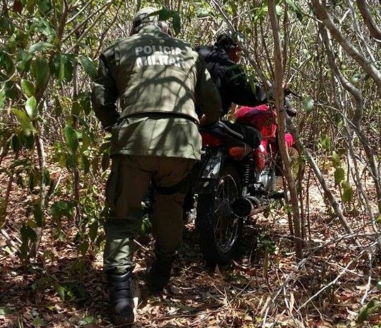 Moto roubada em Parnaíba é encontrada abandonada em matagal - Imagem 1