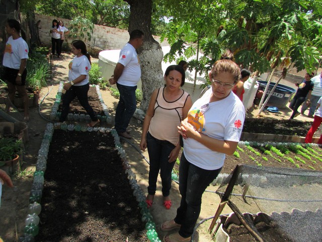 Professores de Simões Visitam Escola Liberato Vieira - Imagem 73