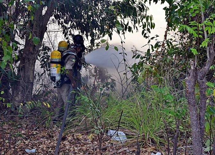 Incêndio atinge área de 200 hectares no litoral do PI e assusta moradores - Imagem 6