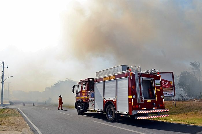 Incêndio atinge área de 200 hectares no litoral do PI e assusta moradores - Imagem 7