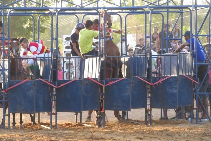 Confira a maior corrida de cavalos da História de Agricolândia  - Imagem 18