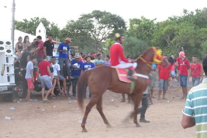 Confira a maior corrida de cavalos da História de Agricolândia  - Imagem 28