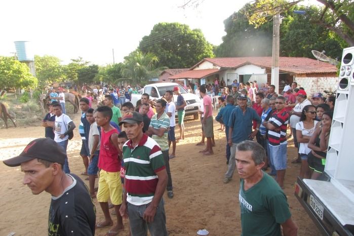 Confira a maior corrida de cavalos da História de Agricolândia  - Imagem 2