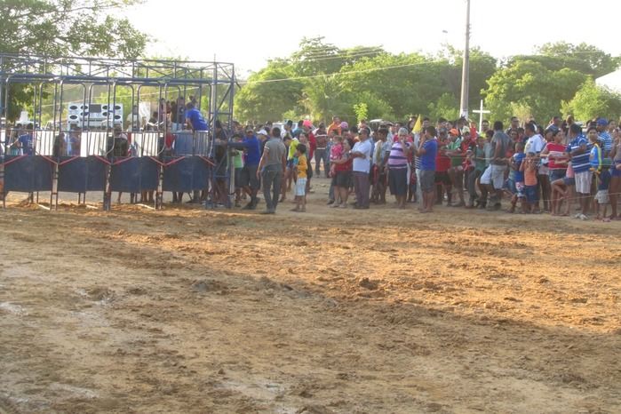 Confira a maior corrida de cavalos da História de Agricolândia  - Imagem 13