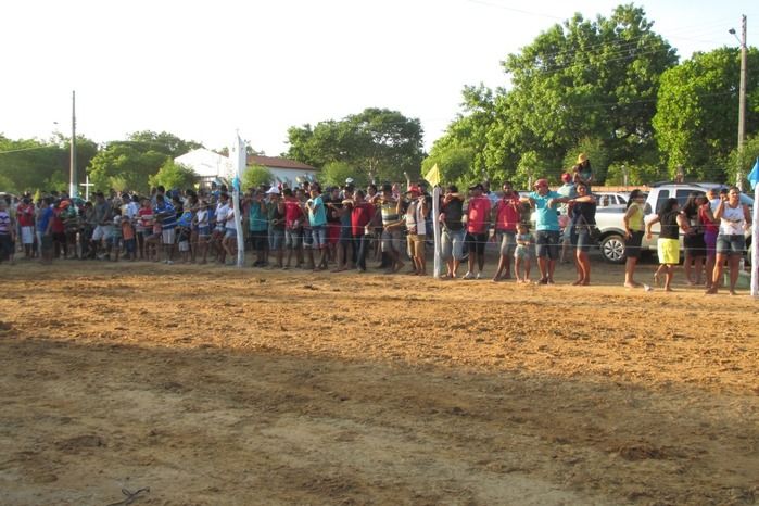Confira a maior corrida de cavalos da História de Agricolândia  - Imagem 15