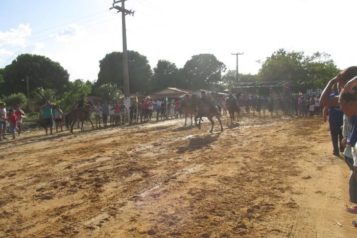 Confira a maior corrida de cavalos da História de Agricolândia  - Imagem 1