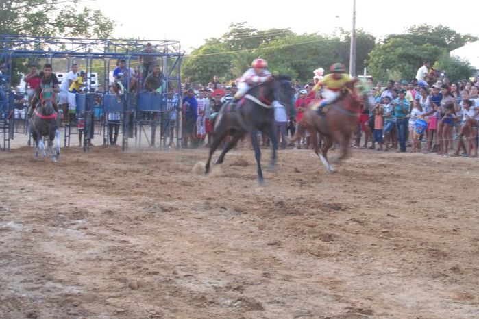 Confira a maior corrida de cavalos da História de Agricolândia  - Imagem 25