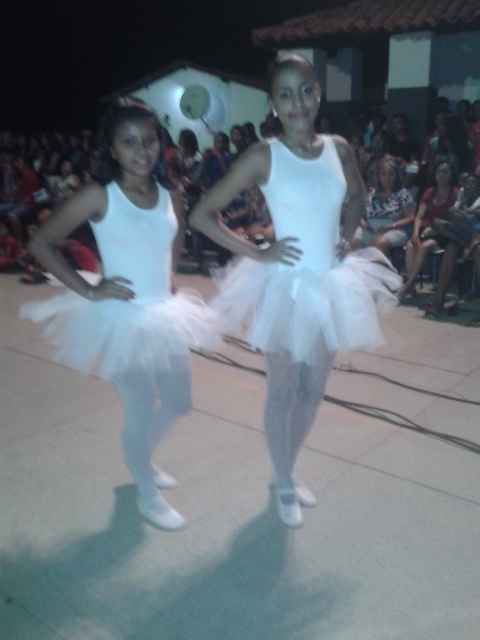 Unidade Escolar Luis de Castro encerra ano letivo com Feira de Conhecimentos - Imagem 20