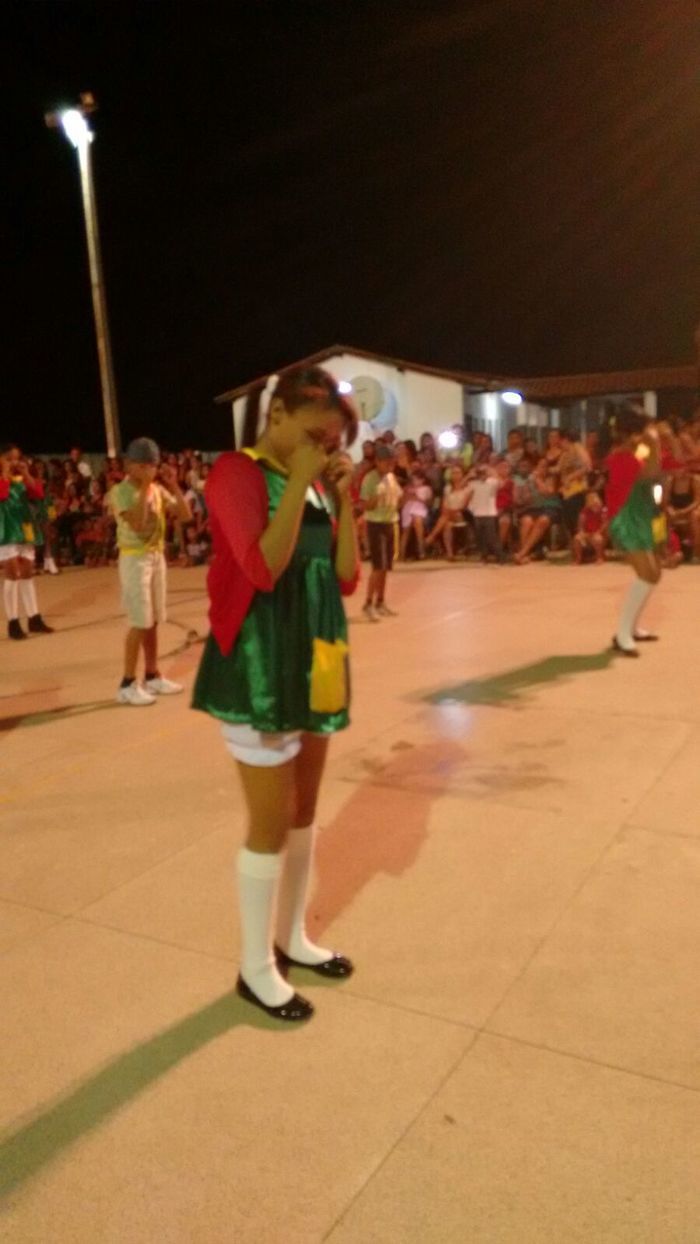 Unidade Escolar Luis de Castro encerra ano letivo com Feira de Conhecimentos - Imagem 73