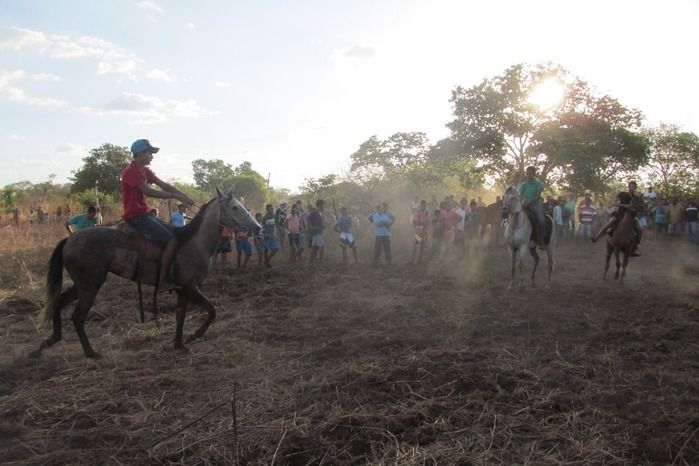Confira como foi a tradicional Corrida de Cavalos de Lagoa Seca  - Imagem 24