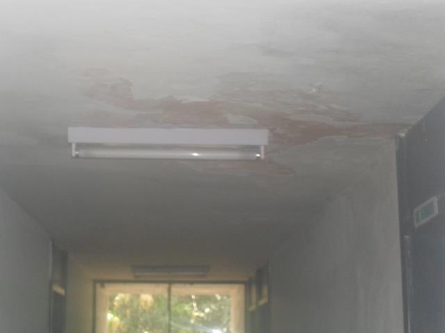 Servidores do Emater e Adapi estão correndo risco de vida  - Imagem 5