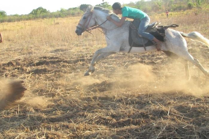 Confira como foi a tradicional Corrida de Cavalos de Lagoa Seca  - Imagem 27