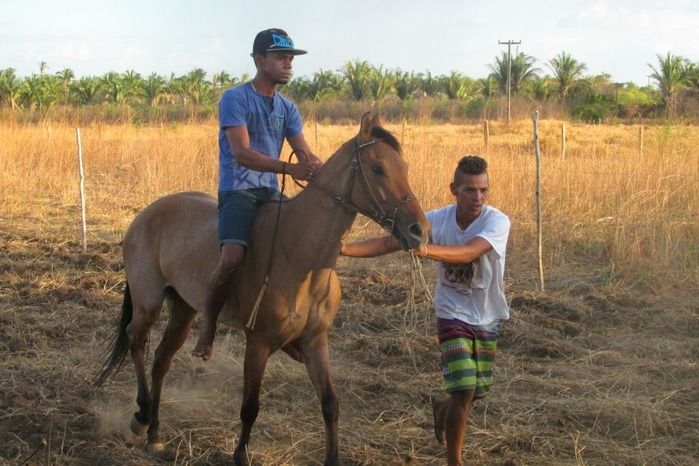 Confira como foi a tradicional Corrida de Cavalos de Lagoa Seca  - Imagem 34