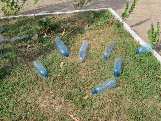 Ornamentação Natalina de Ipiranga do Piauí Está Sendo Vandalizada - Imagem 7