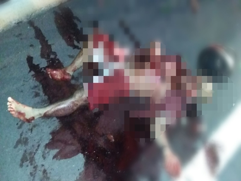 Piripiriense perde a vida em acidente com animal na pista