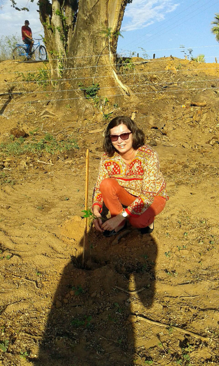 Oeiras comemora seus 298 anos com grande evento - Imagem 31