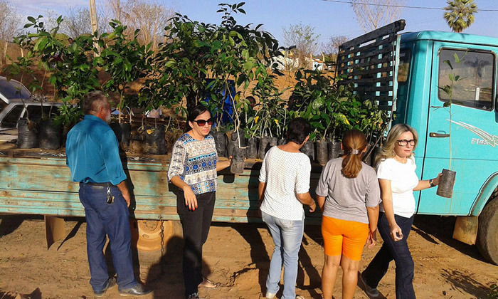 Oeiras comemora seus 298 anos com grande evento - Imagem 3