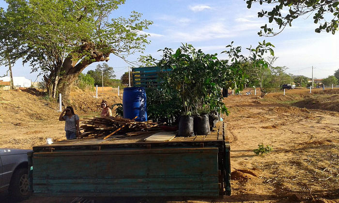 Oeiras comemora seus 298 anos com grande evento - Imagem 11