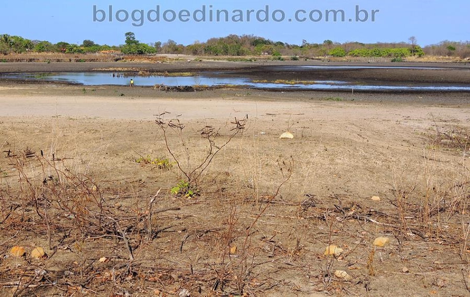 Prefeitura se une a comunidade na tentativa de revitalizar lagoa