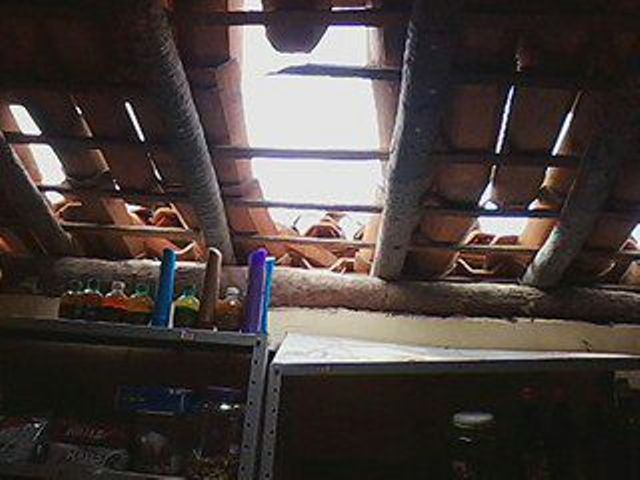 Homem arromba comércio, furta galinhas e é preso na PI-230 em Campo Maior - Imagem 2