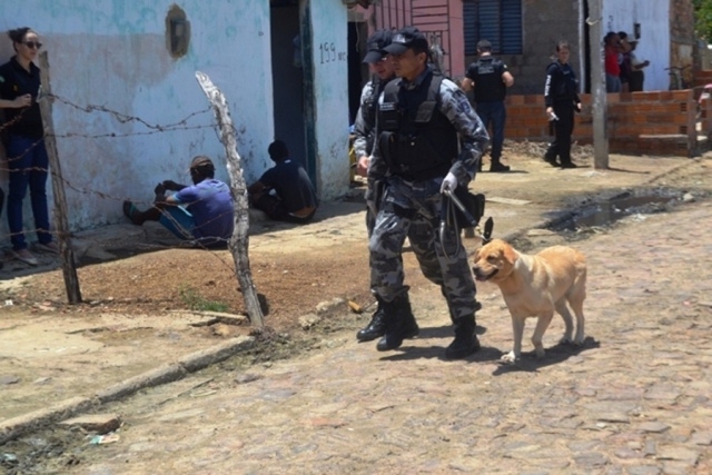 Polícia faz megaoperação e prende o maior traficante de Campo Maior - Imagem 7
