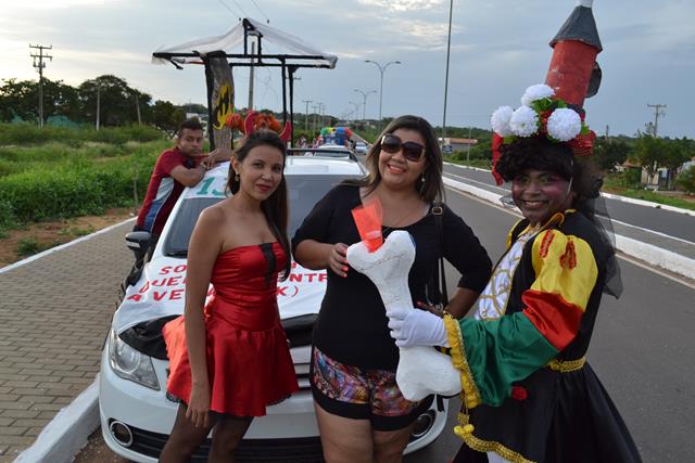 Venicio do Ó e prefeitos da região participam do corso em Valença   - Imagem 3