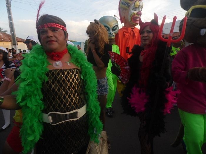 Bloco Os Gatões arrasta quase 25 mil pessoas para avenida - Imagem 15