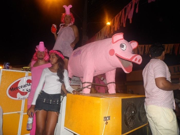 Bloco Os Gatões arrasta quase 25 mil pessoas para avenida - Imagem 31