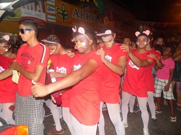 Bloco Os Gatões arrasta quase 25 mil pessoas para avenida - Imagem 21