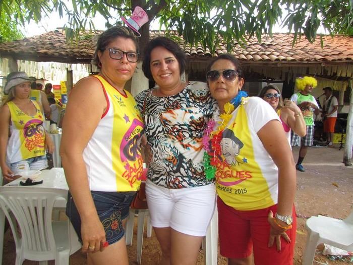 Veja o que rolou no 3º dia de carnaval em Barras - Imagem 8