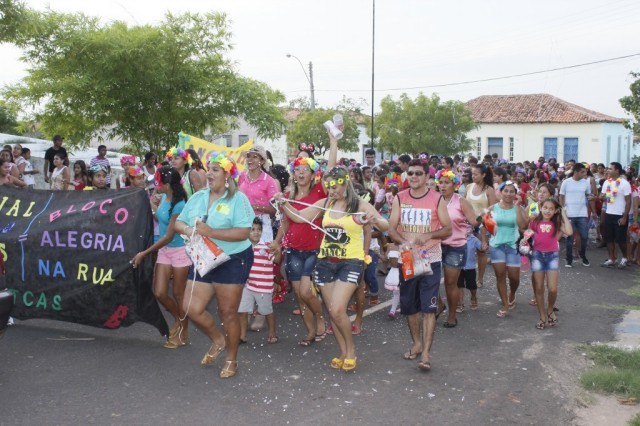 Blocos de rua animam segundo dia de carnaval em Miguel Alves - Imagem 5