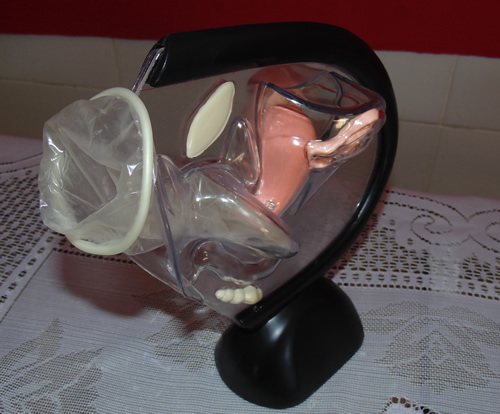 PORTO: Equipes do PSE realizam oficinas e palestras durante Semana Pedagógica - Imagem 25