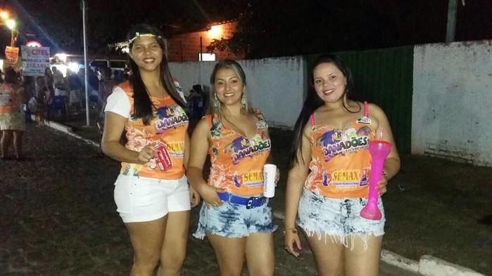 Carnaval/2015: Bloco Os Danadões realizou o melhor carnaval com grandes atrações - Imagem 55