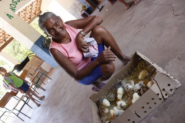 Projeto Mais Caipirão vai beneficiar 2 mil famílias em Miguel Alves - Imagem 4