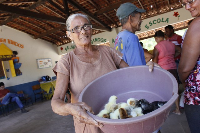 Projeto Mais Caipirão vai beneficiar 2 mil famílias em Miguel Alves - Imagem 3