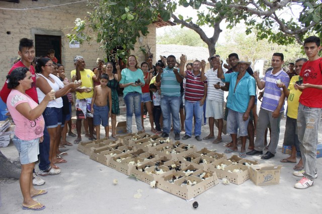 Projeto Mais Caipirão vai beneficiar 2 mil famílias em Miguel Alves - Imagem 9