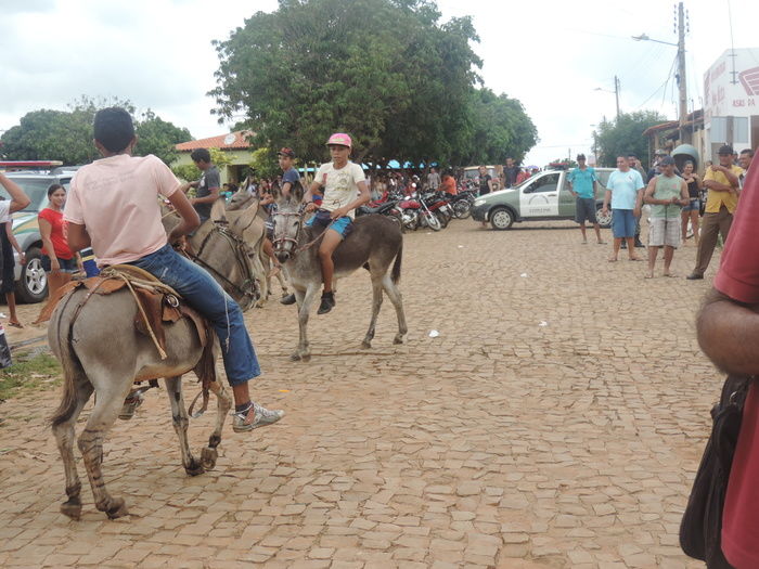 Corrida de Jegue atraia população durante aniversário de Barra D'Alcântara - Imagem 10