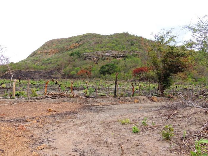 Prefeitura conclui estrada do assentamento Salobro - Imagem 16