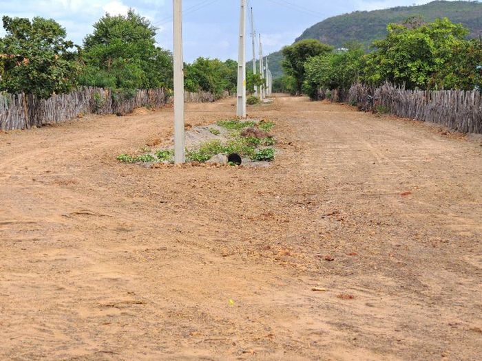 Prefeitura conclui estrada do assentamento Salobro - Imagem 6