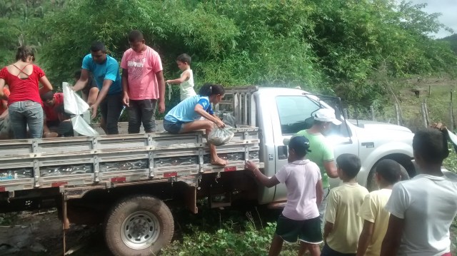 Prefeitura de Miguel Alves doa 1 tonelada de peixes a famílias carentes - Imagem 7