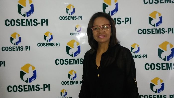 Secretária de Saúde participa de seminário promovido pelo Cosems - Imagem 1