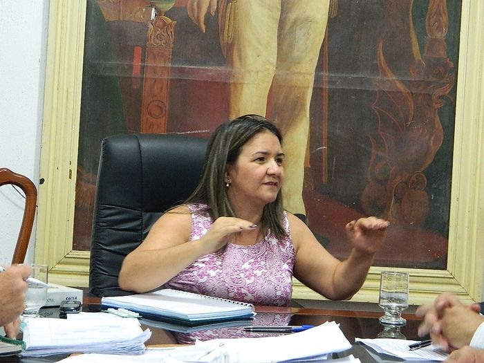 Pedro II poderá ganhar shoping do camelô e polo industrial - Imagem 6